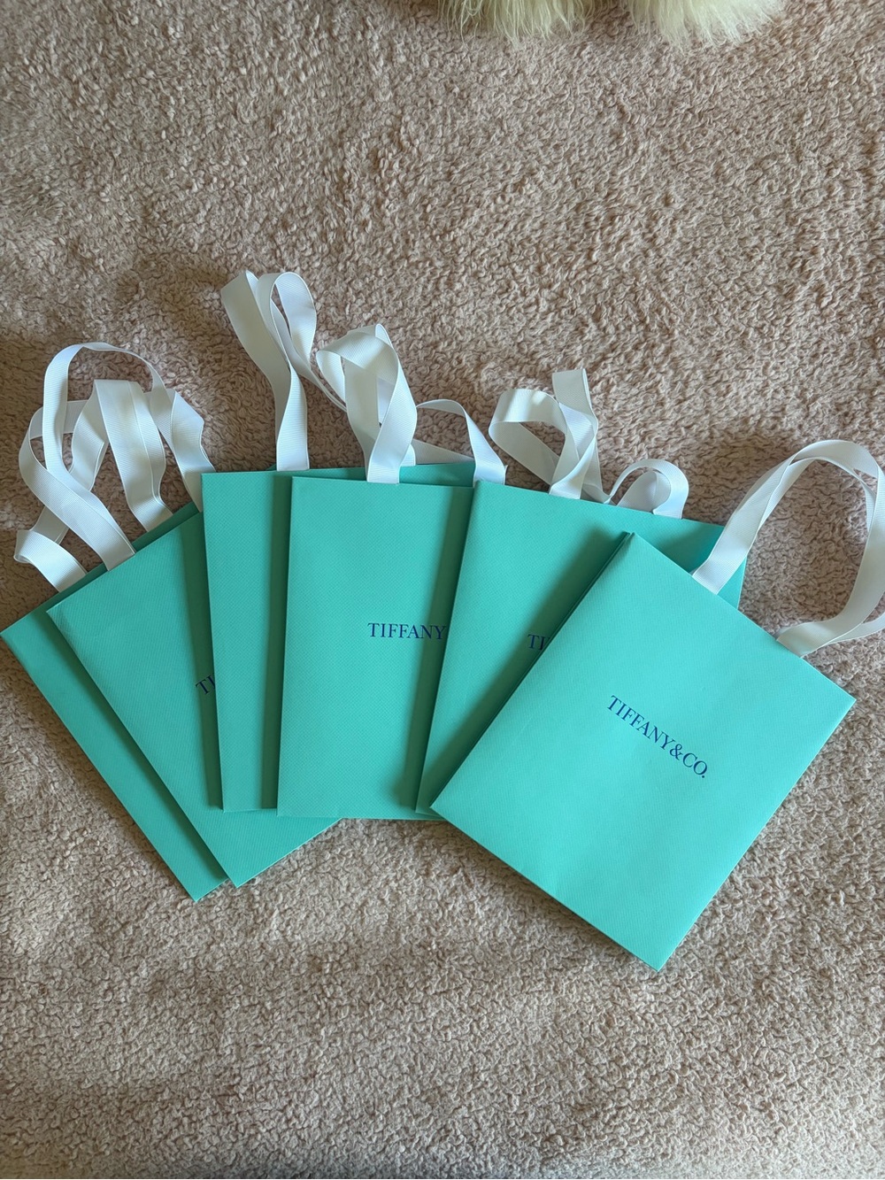 Tiffany & Co. Robin's Egg Blue Gift Bags with White Ribbon Handles - Set of 6
